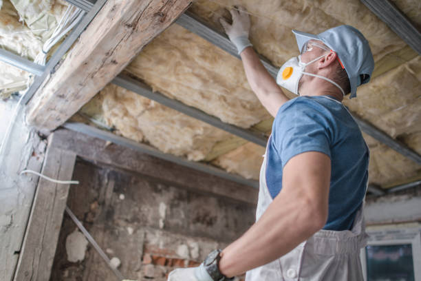 Best Geographic-Specific Insulation Services in Brewster, NY